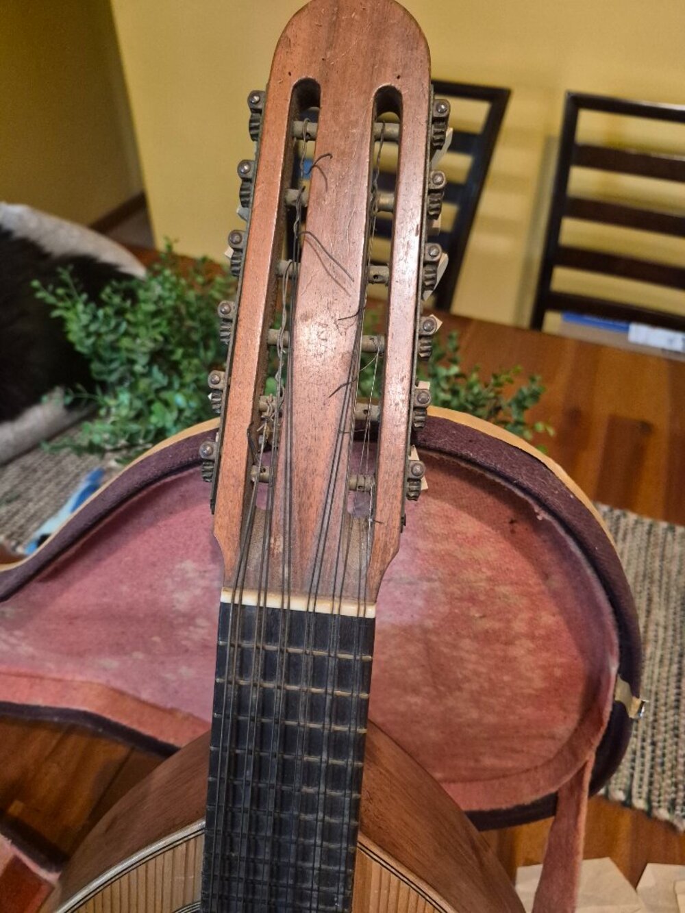 Vintage Spanish Bandurria from 1920s sounds amazing over 100years old - Picture 12 of 13